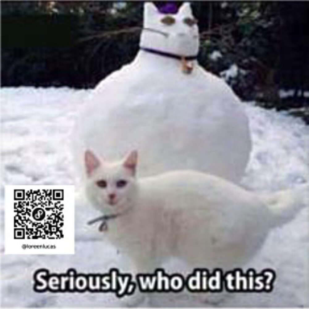 Meet your Posher, Loreen